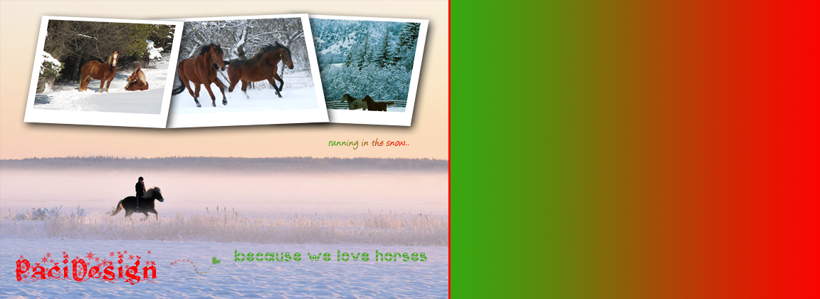 PaciDesign - We Love Horses # One source about Horses